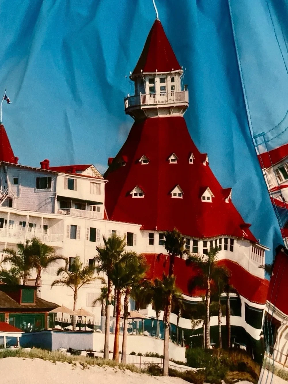 TOES on the NOSE Scenic HOTEL CORONADO San Diego Print SWIM TRUNKS Size Medium